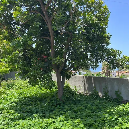 Fincaecoamaro Semesterbostad Puerto de Santiago (Tenerife)